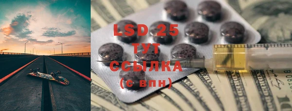 ГАЛЛЮЦИНОГЕННЫЕ ГРИБЫ Инсар