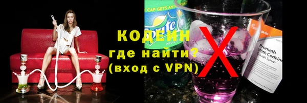 ГАЛЛЮЦИНОГЕННЫЕ ГРИБЫ Инсар