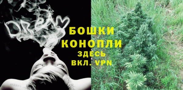 метадон Инта