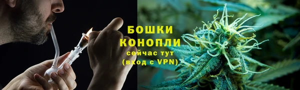 ГАЛЛЮЦИНОГЕННЫЕ ГРИБЫ Инсар