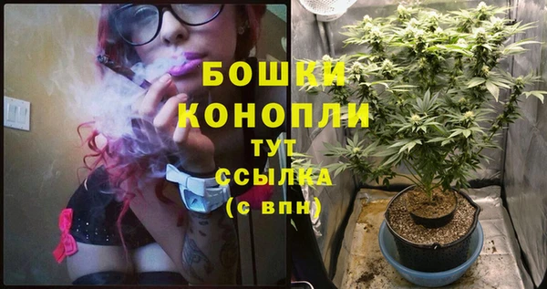 метадон Инта