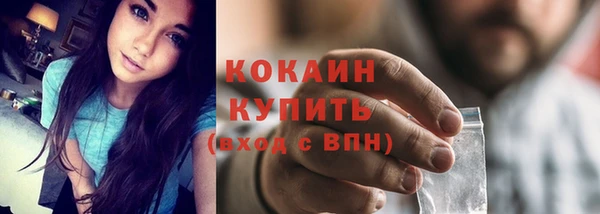 метадон Инта