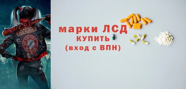 ГАЛЛЮЦИНОГЕННЫЕ ГРИБЫ Инсар