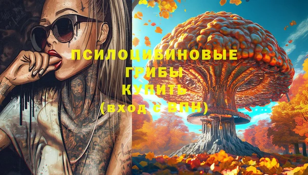 спиды Иннополис