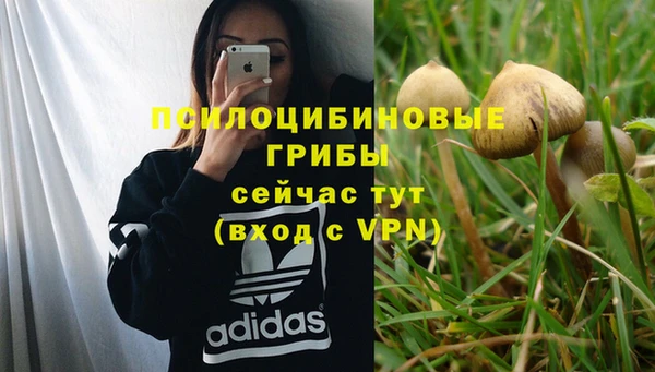 спиды Иннополис