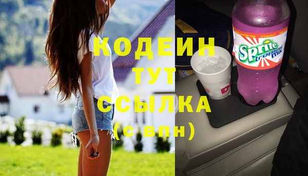ГАЛЛЮЦИНОГЕННЫЕ ГРИБЫ Инсар