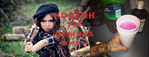 метадон Инта
