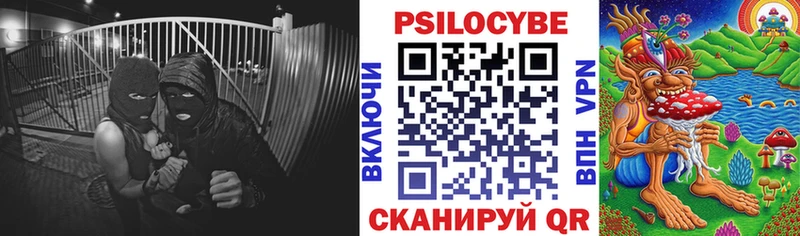 Купить где  Удачный  Псилоцибиновые грибы мухоморы 